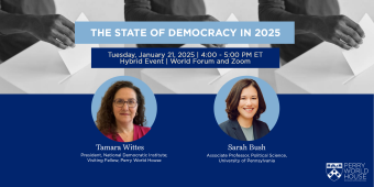 The State of Democracy in 2025