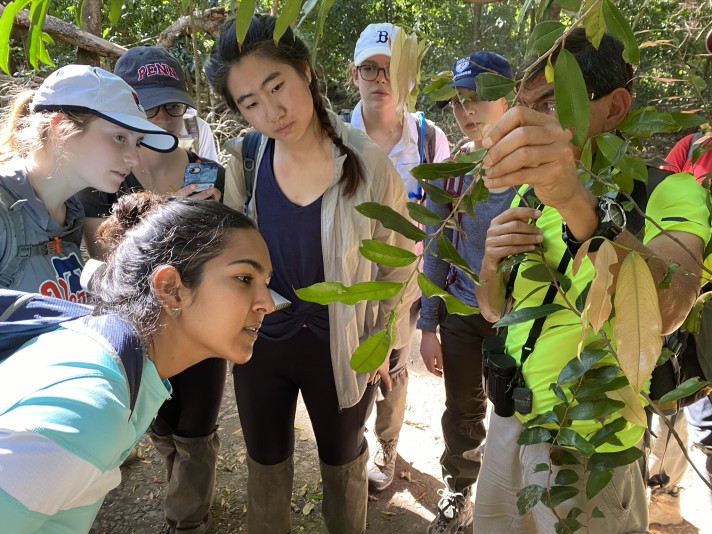 Students abroad looking at plants